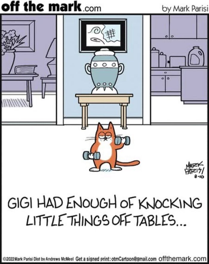 36 Hilarious Cat Comics That Nail All Those Weird Little Things Cats Do