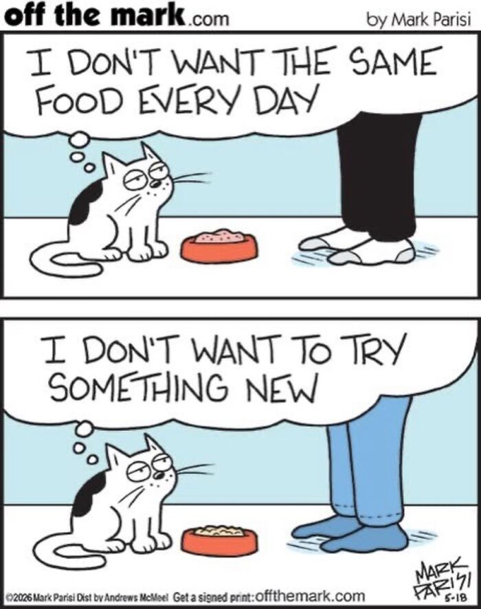 36 Hilarious Cat Comics That Nail All Those Weird Little Things Cats Do