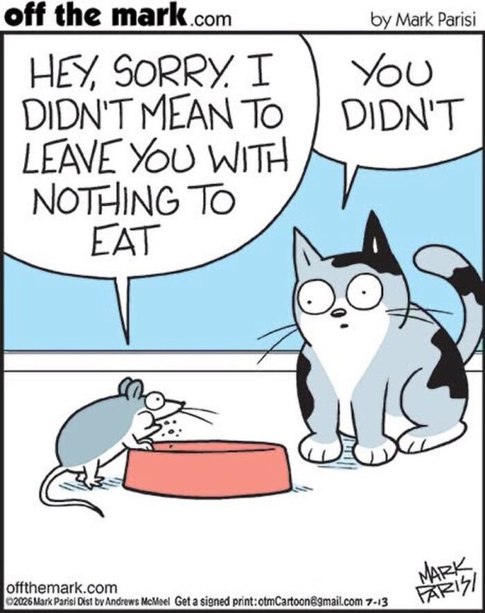 36 Hilarious Cat Comics That Nail All Those Weird Little Things Cats Do