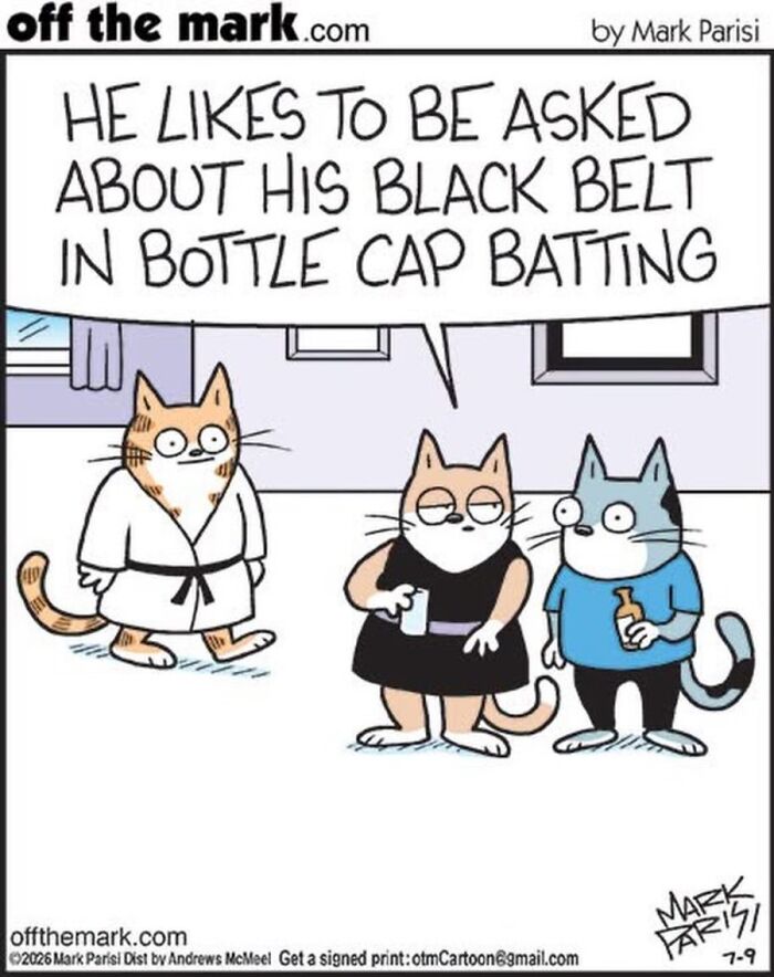 36 Hilarious Cat Comics That Nail All Those Weird Little Things Cats Do