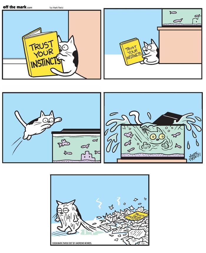 36 Hilarious Cat Comics That Nail All Those Weird Little Things Cats Do