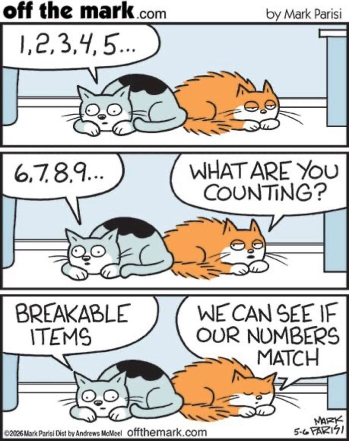 36 Hilarious Cat Comics That Nail All Those Weird Little Things Cats Do