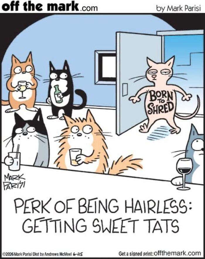 36 Hilarious Cat Comics That Nail All Those Weird Little Things Cats Do
