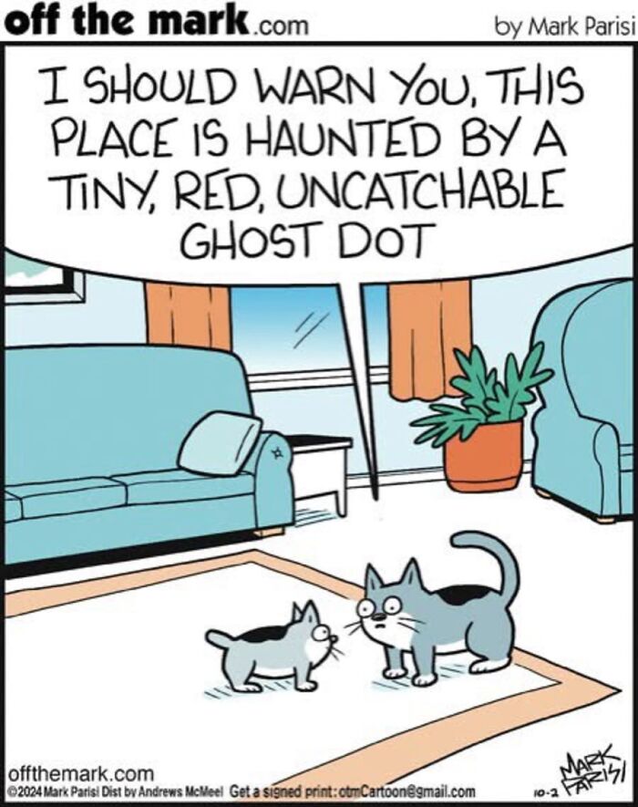 36 Hilarious Cat Comics That Nail All Those Weird Little Things Cats Do