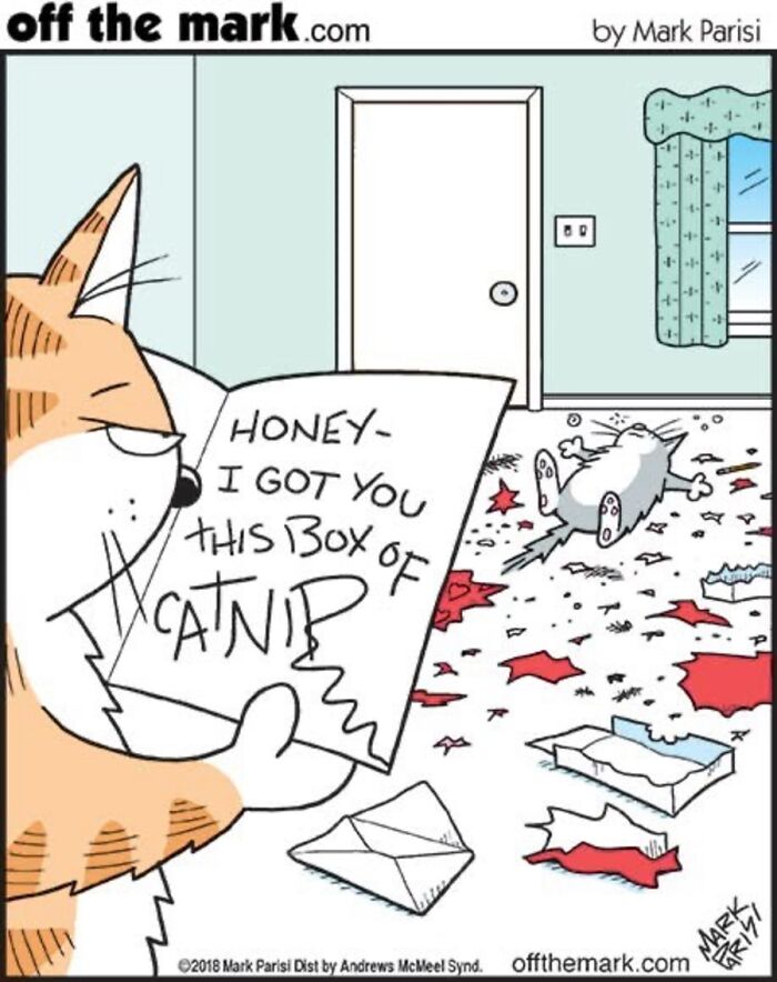 36 Hilarious Cat Comics That Nail All Those Weird Little Things Cats Do