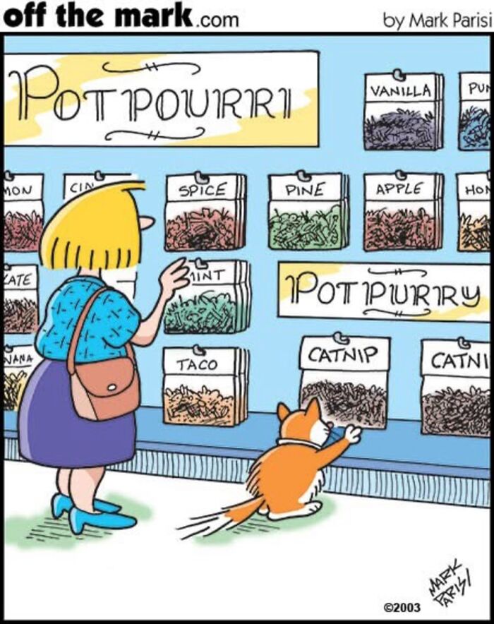36 Hilarious Cat Comics That Nail All Those Weird Little Things Cats Do