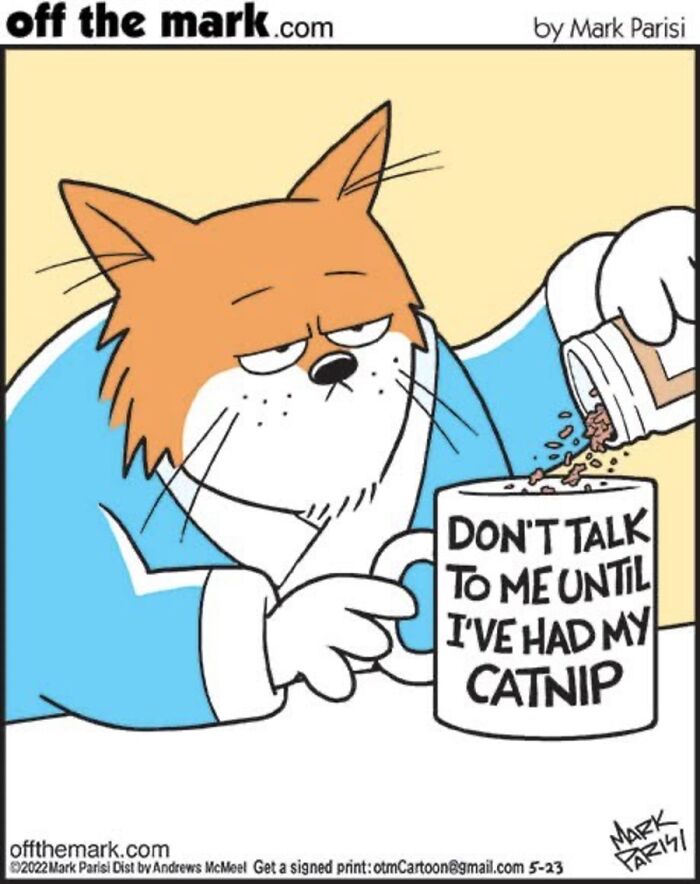 36 Hilarious Cat Comics That Nail All Those Weird Little Things Cats Do