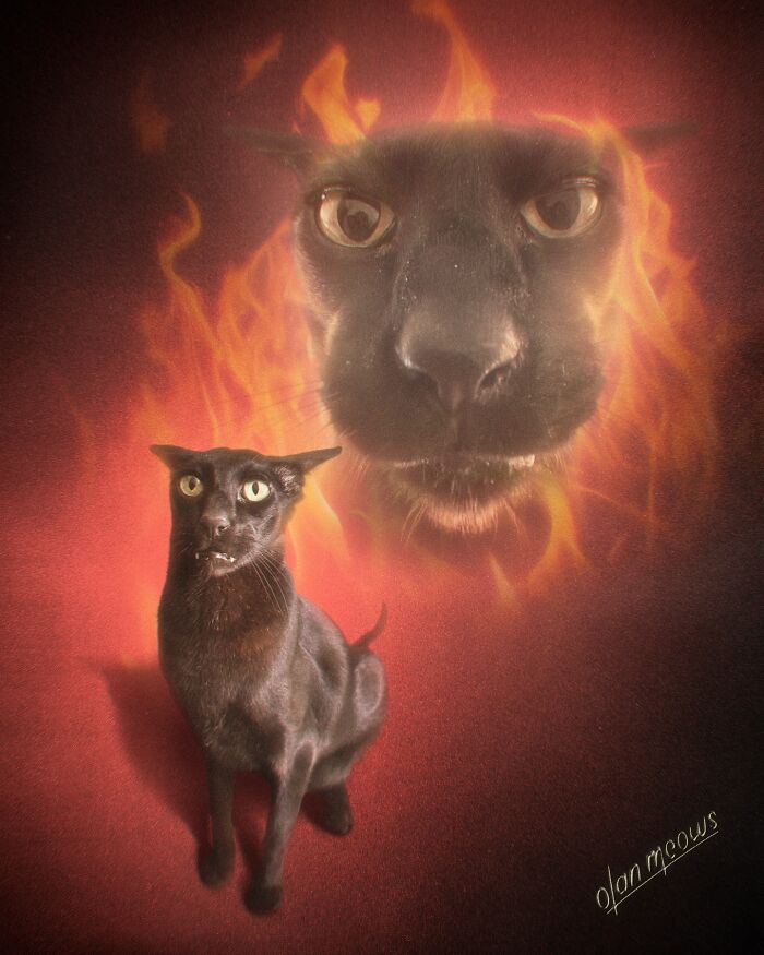 Wait Till You See These Wildly Awesome Retro Pet Portraits!