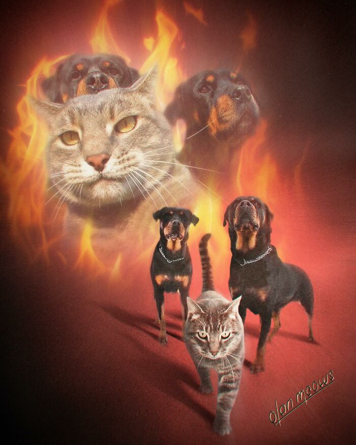 Wait Till You See These Wildly Awesome Retro Pet Portraits!