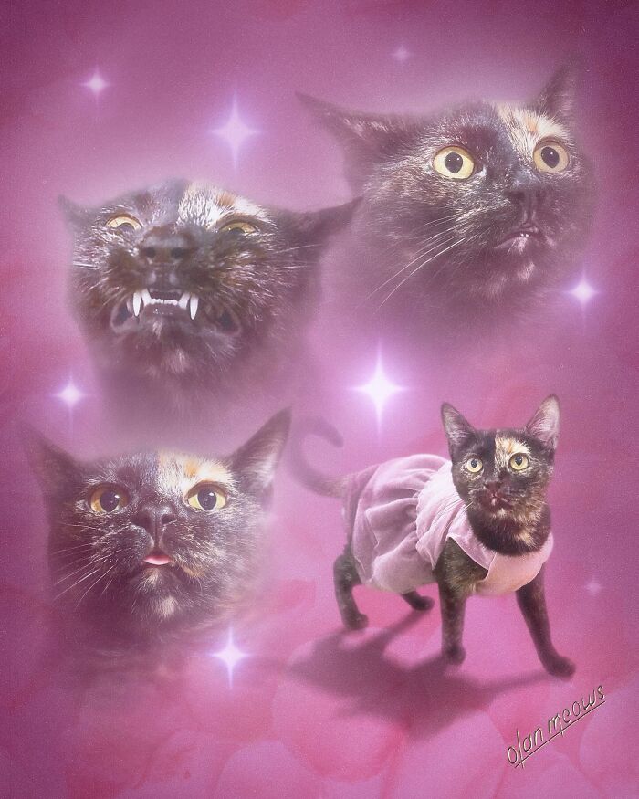 Wait Till You See These Wildly Awesome Retro Pet Portraits!