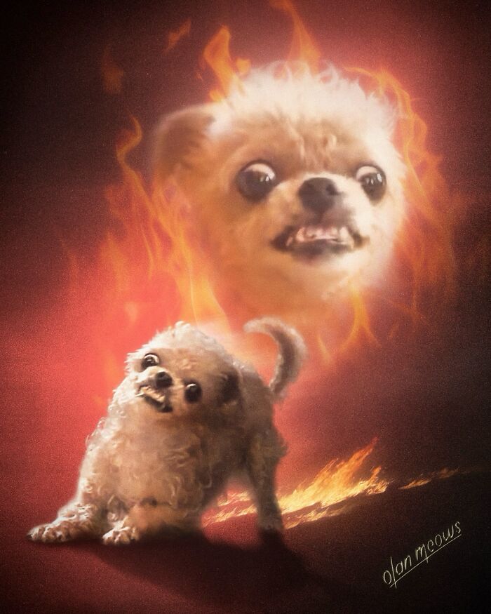Wait Till You See These Wildly Awesome Retro Pet Portraits!