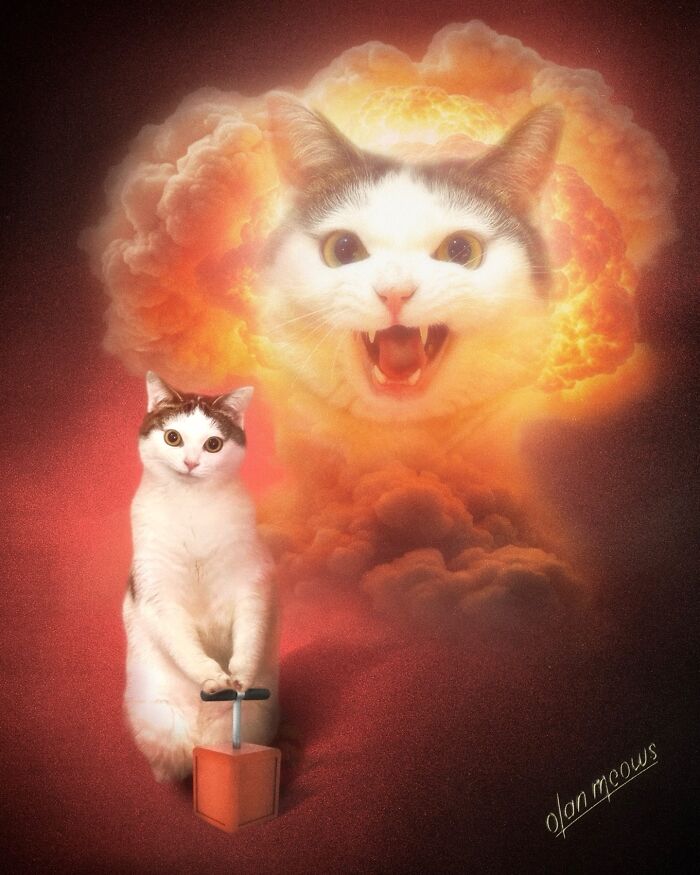 Wait Till You See These Wildly Awesome Retro Pet Portraits!