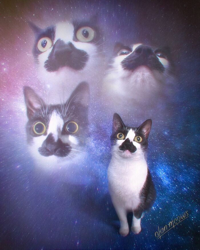 Wait Till You See These Wildly Awesome Retro Pet Portraits!