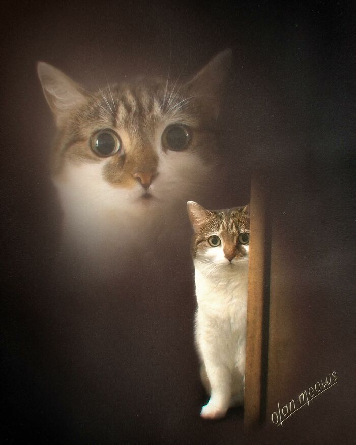 Wait Till You See These Wildly Awesome Retro Pet Portraits!