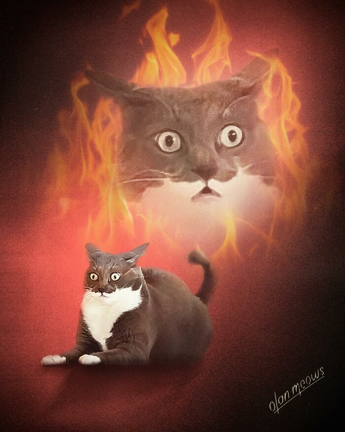 Wait Till You See These Wildly Awesome Retro Pet Portraits!