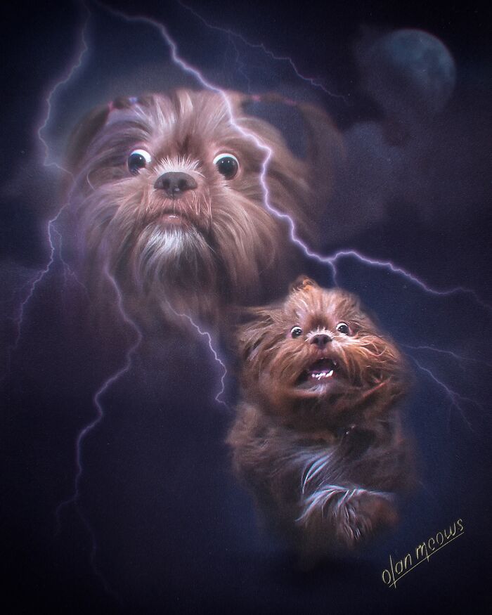 Wait Till You See These Wildly Awesome Retro Pet Portraits!