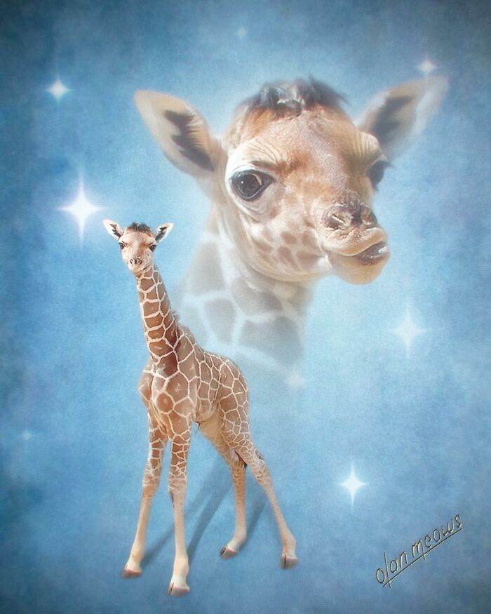 Wait Till You See These Wildly Awesome Retro Pet Portraits!