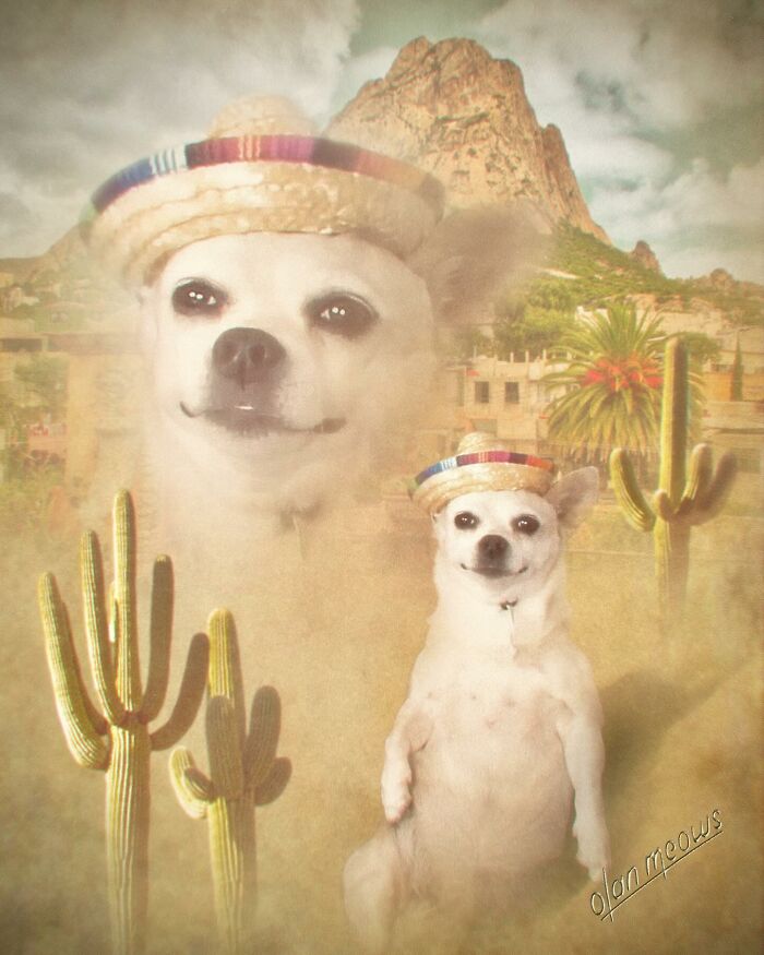 Wait Till You See These Wildly Awesome Retro Pet Portraits!