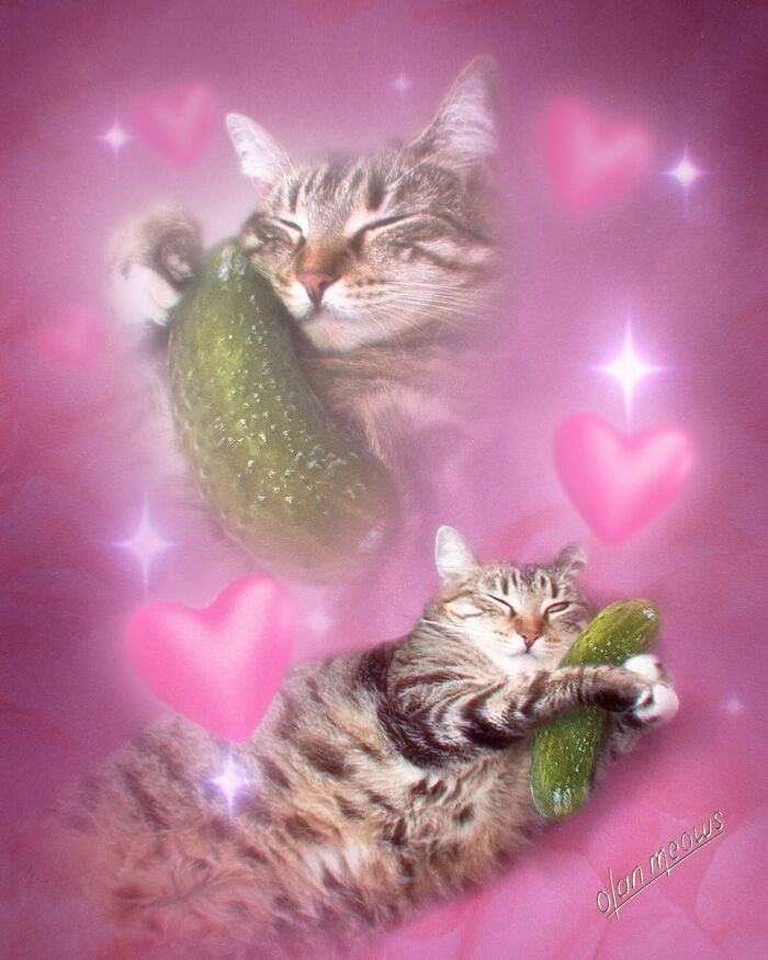 Wait Till You See These Wildly Awesome Retro Pet Portraits!