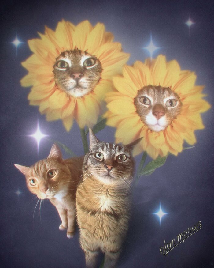 Wait Till You See These Wildly Awesome Retro Pet Portraits!