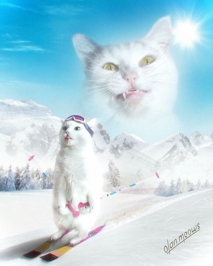 Wait Till You See These Wildly Awesome Retro Pet Portraits!
