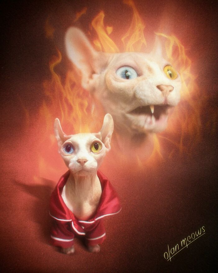 Wait Till You See These Wildly Awesome Retro Pet Portraits!