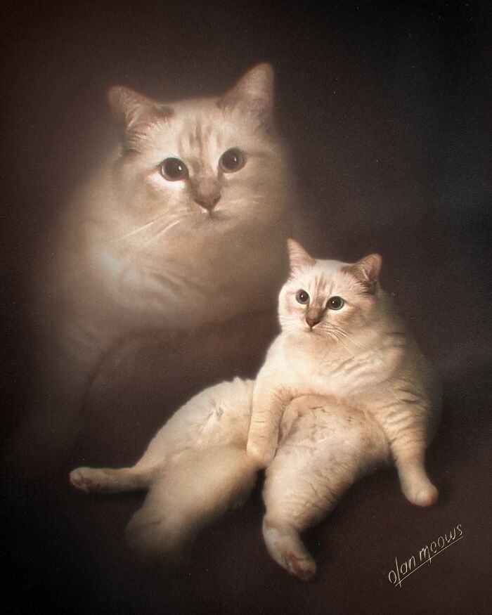 Wait Till You See These Wildly Awesome Retro Pet Portraits!