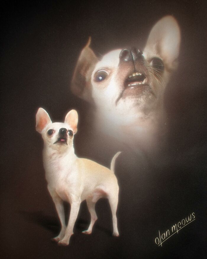 Wait Till You See These Wildly Awesome Retro Pet Portraits!