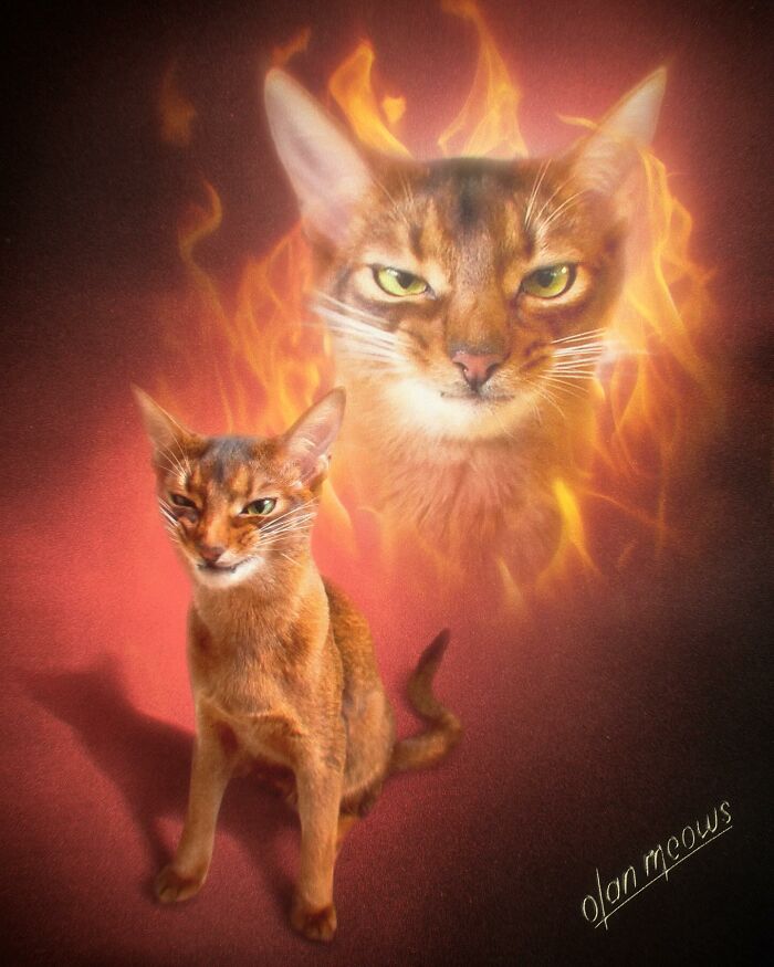 Wait Till You See These Wildly Awesome Retro Pet Portraits!