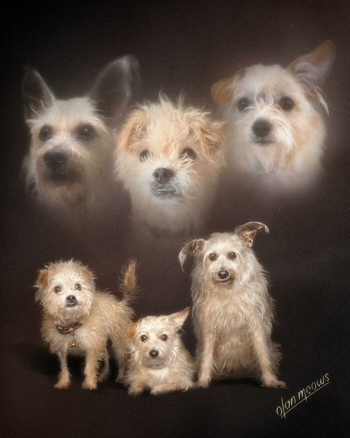 Wait Till You See These Wildly Awesome Retro Pet Portraits!