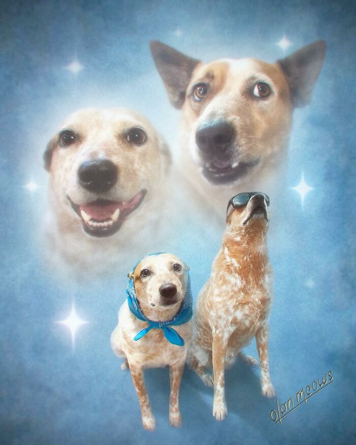 Wait Till You See These Wildly Awesome Retro Pet Portraits!