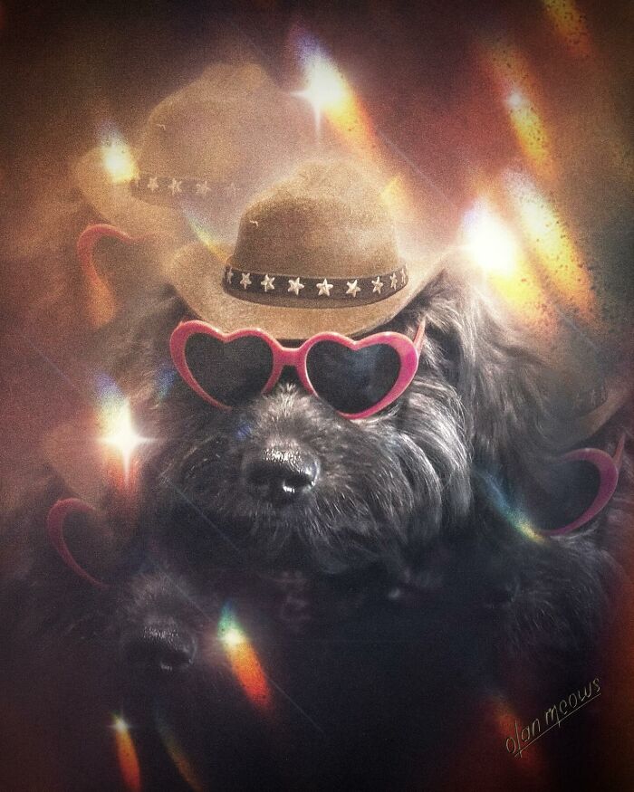 Wait Till You See These Wildly Awesome Retro Pet Portraits!