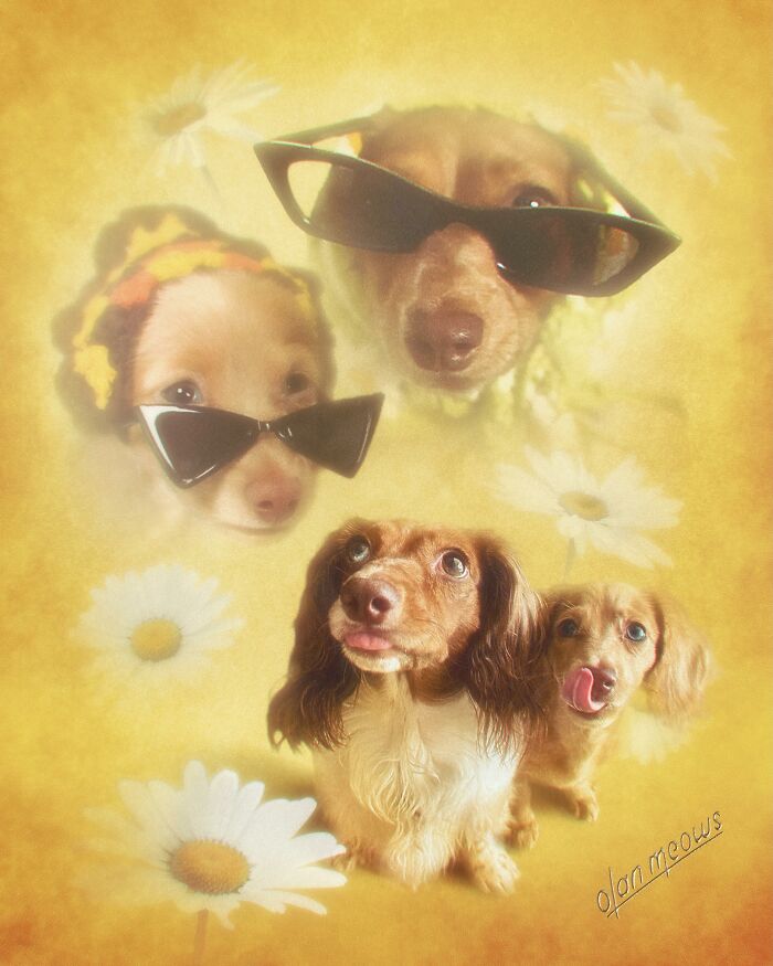Wait Till You See These Wildly Awesome Retro Pet Portraits!
