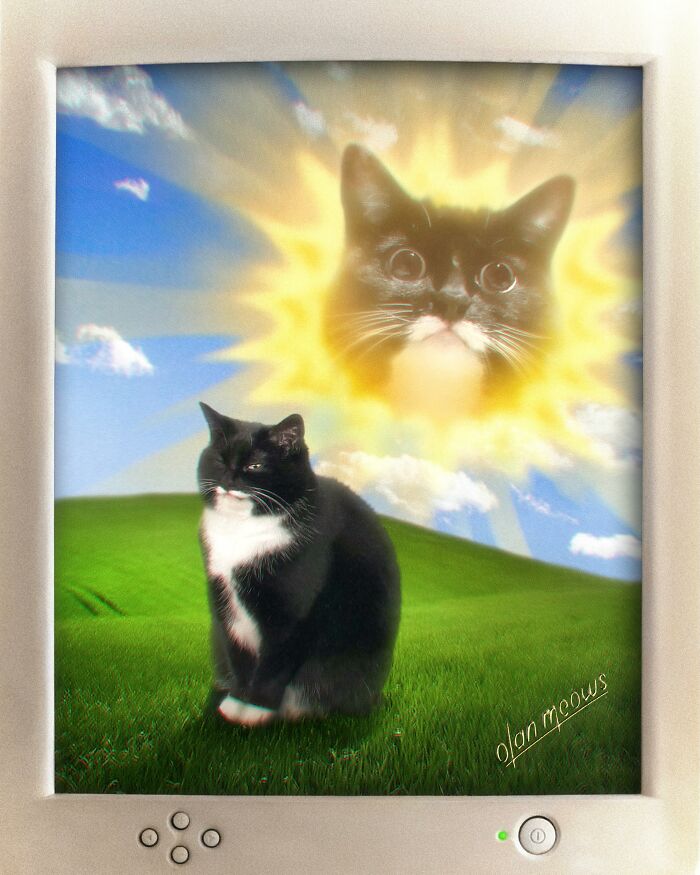 Wait Till You See These Wildly Awesome Retro Pet Portraits!