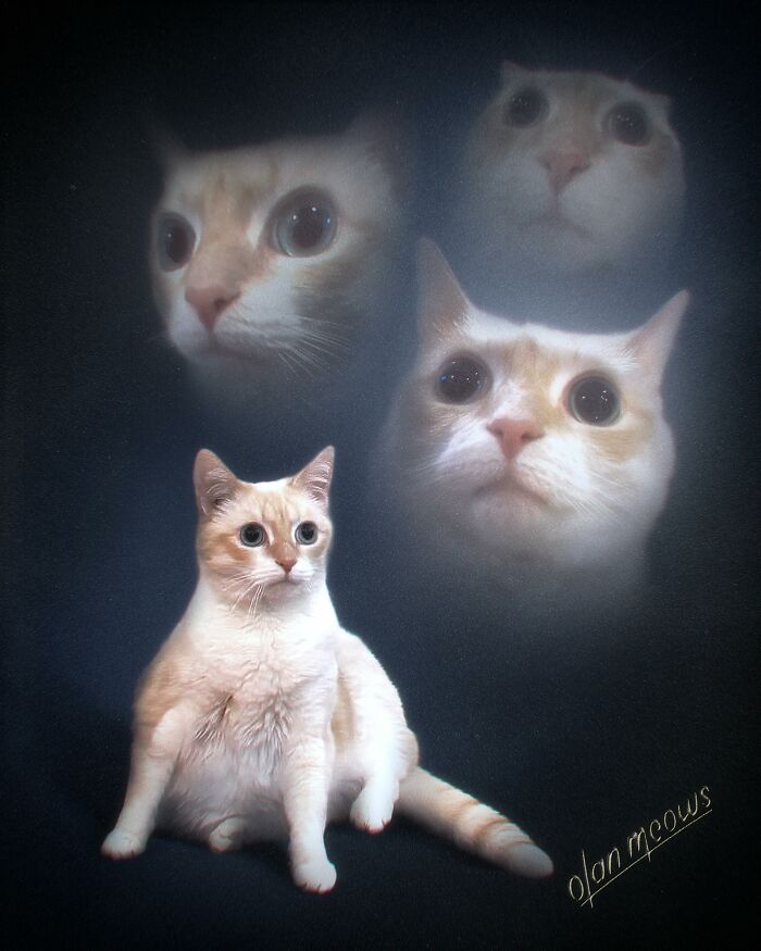 Wait Till You See These Wildly Awesome Retro Pet Portraits!