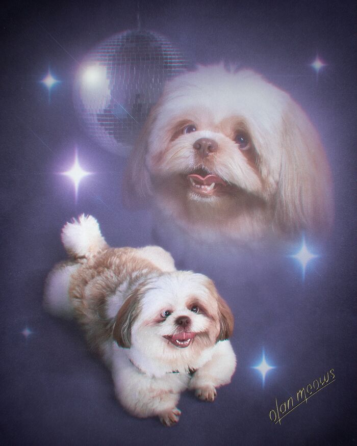 Wait Till You See These Wildly Awesome Retro Pet Portraits!