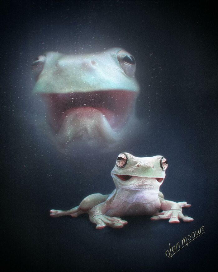 Wait Till You See These Wildly Awesome Retro Pet Portraits!