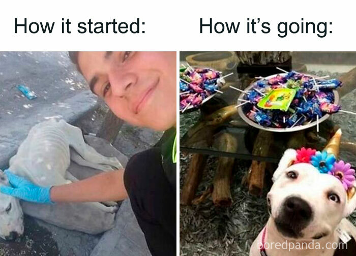 Wait, They Actually Ranked Those? 77 Memes That Will Totally Crack You Up Tonight