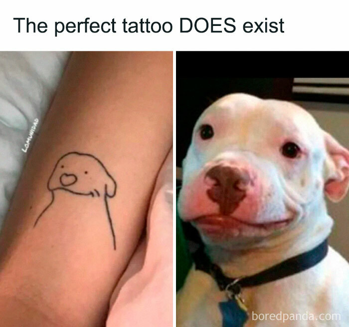 Wait, They Actually Ranked Those? 77 Memes That Will Totally Crack You Up Tonight