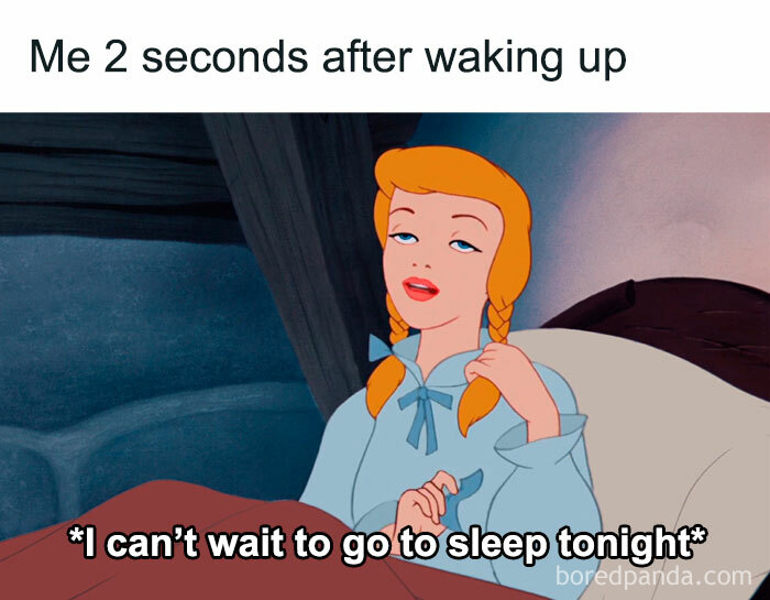 Wait, They Actually Ranked Those? 77 Memes That Will Totally Crack You Up Tonight