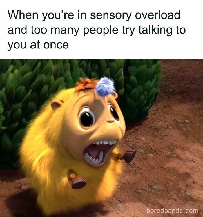 Wait, They Actually Ranked Those? 77 Memes That Will Totally Crack You Up Tonight