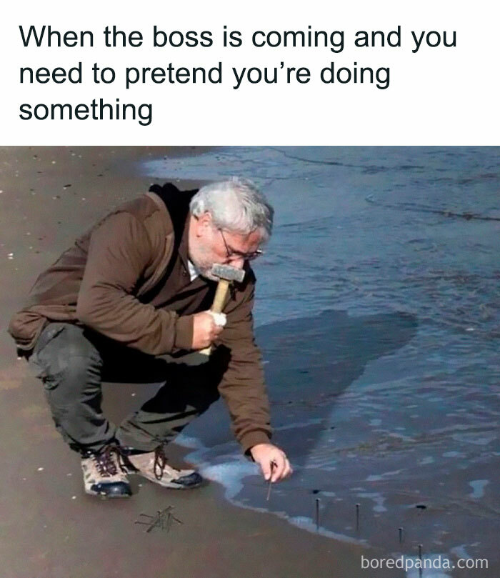 Wait, They Actually Ranked Those? 77 Memes That Will Totally Crack You Up Tonight
