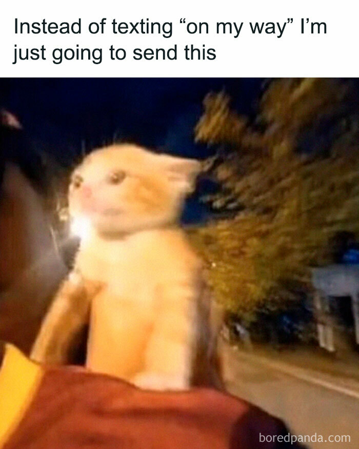 Wait, They Actually Ranked Those? 77 Memes That Will Totally Crack You Up Tonight