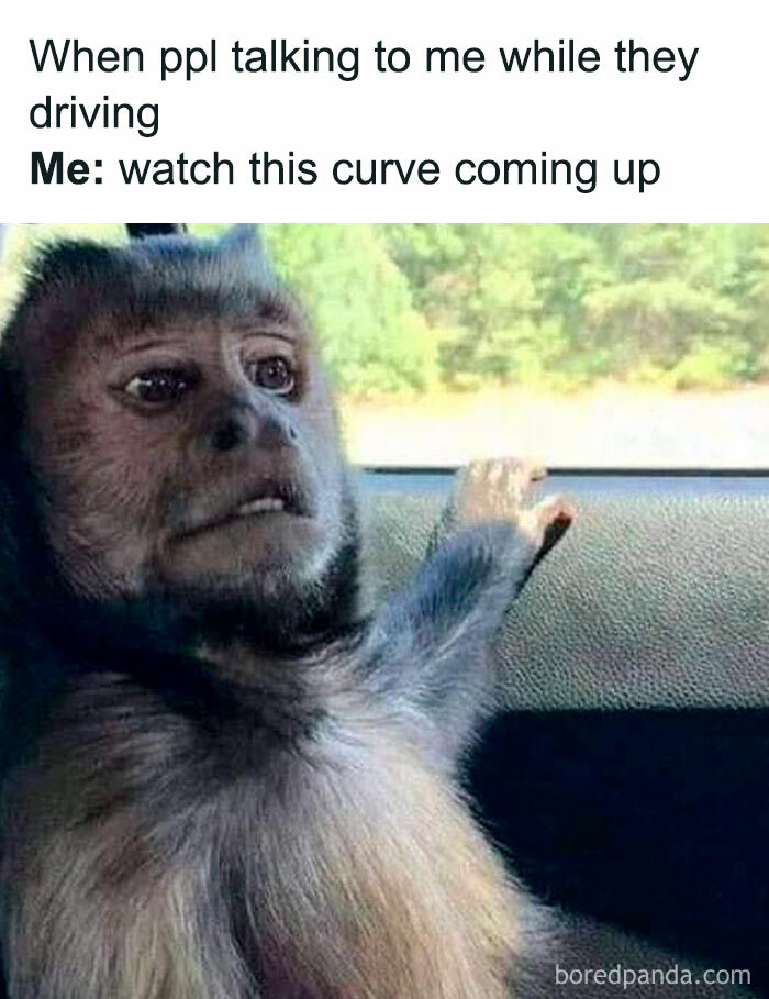 Wait, They Actually Ranked Those? 77 Memes That Will Totally Crack You Up Tonight