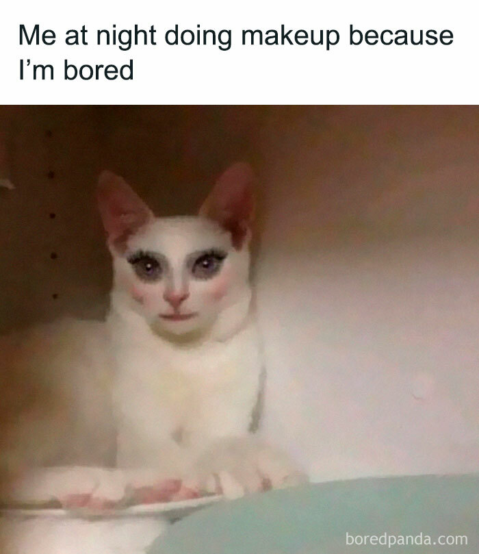 Wait, They Actually Ranked Those? 77 Memes That Will Totally Crack You Up Tonight