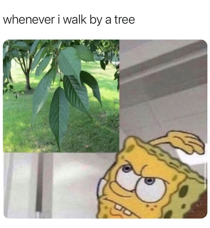 Wait, They Actually Ranked Those? 77 Memes That Will Totally Crack You Up Tonight