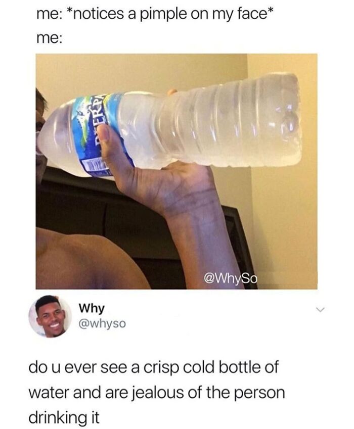 Wait, They Actually Ranked Those? 77 Memes That Will Totally Crack You Up Tonight