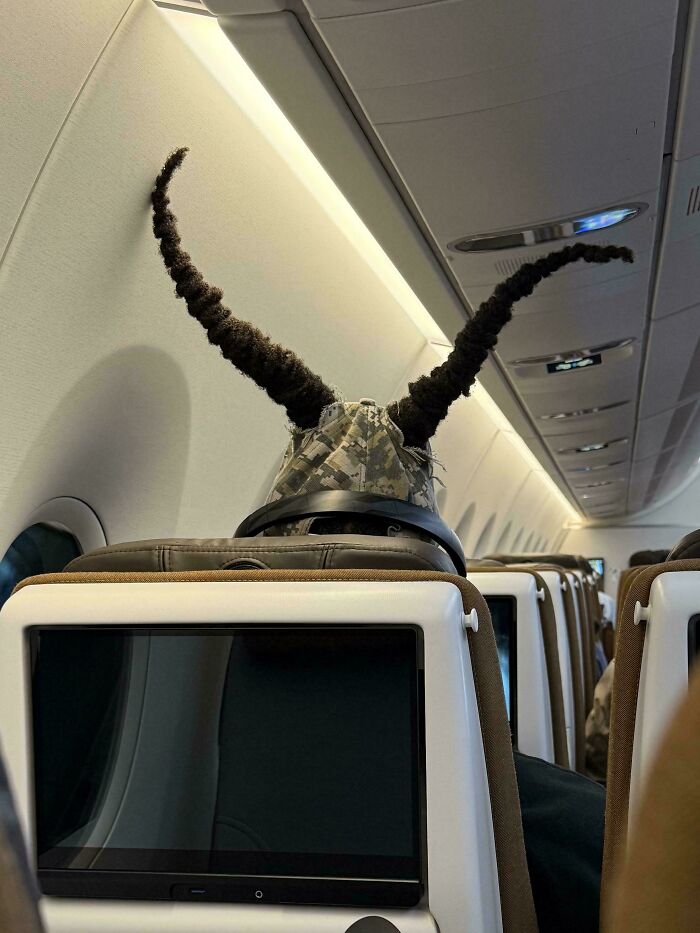 These Crafty Freakouts Are Hilariously Brilliant (And Totally Baffling)