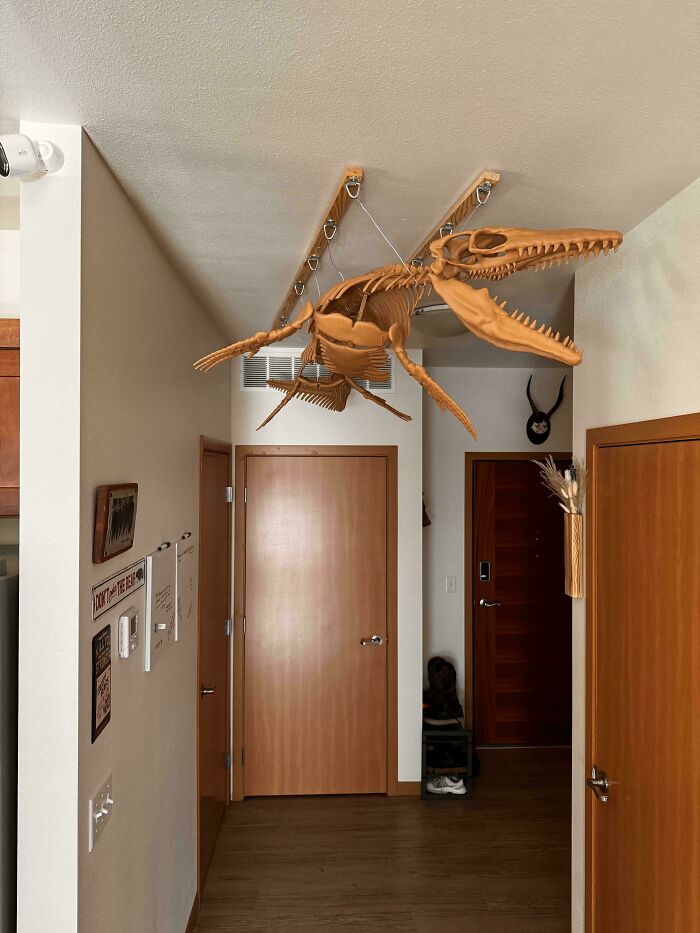 Can’t Be Trusted With Free Will — Says the Room!