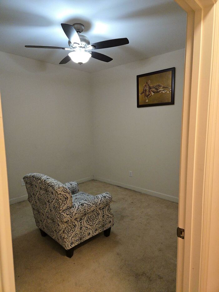 Welcome to the Cheetah Room — Wild Style Only